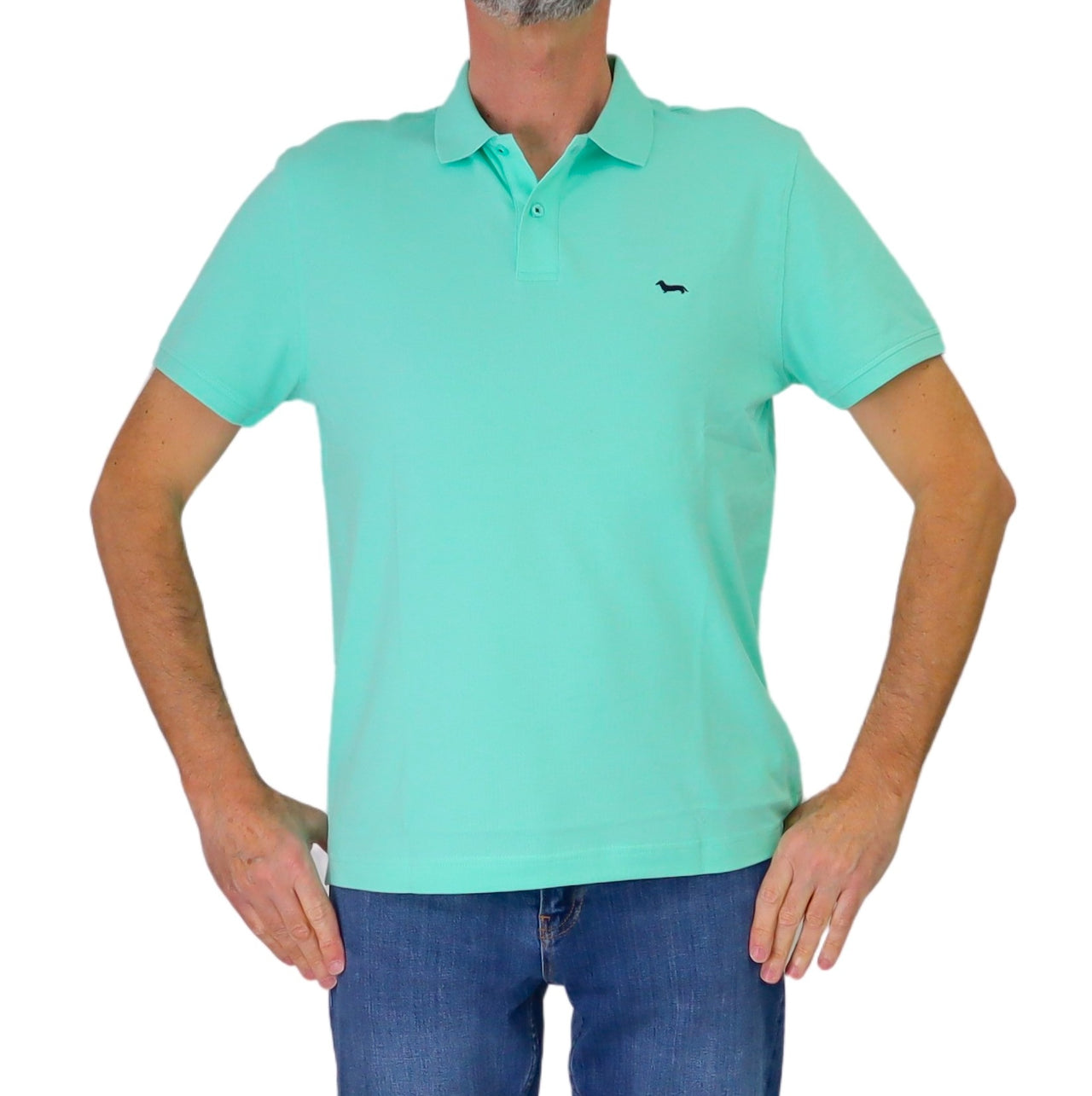 HARMONT&BLAINE polo uomo cotone stretch LRQ033 020862 618 VERDE ACQUA estate 2026