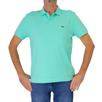 Thumbnail for HARMONT&BLAINE polo uomo cotone stretch LRQ033 020862 618 VERDE ACQUA estate 2026