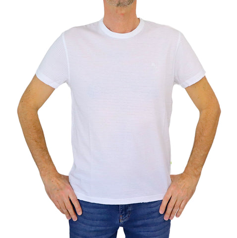 SHOCKLY t-shirt uomo cotone manica corta TS STRIPE 8T6801 BIANCO estate 2024